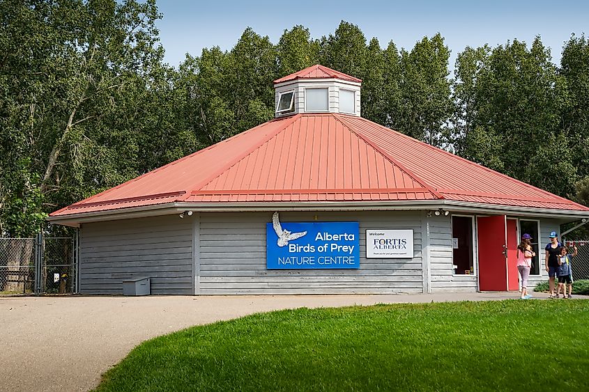 The Birds of prey centre at Coaldale, Alberta. Image credit: Ramon Cliff via Shutterstock.