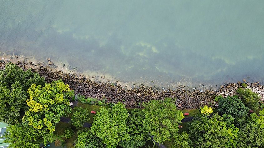 Lake Erie shores in the summer.