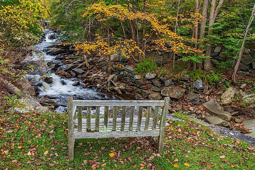 A view in Becket State Forest in the Massachusetts Berkshires.