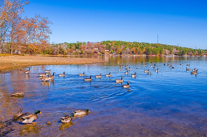 Lake Catherine State Park near Hot Springs, Arkansas