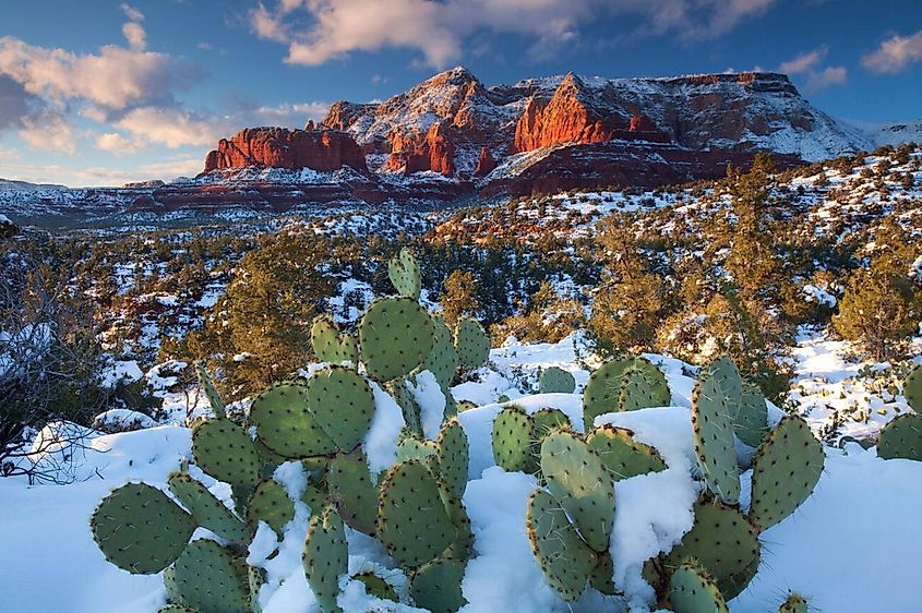 Winter landscape near Sedona, Arizona.