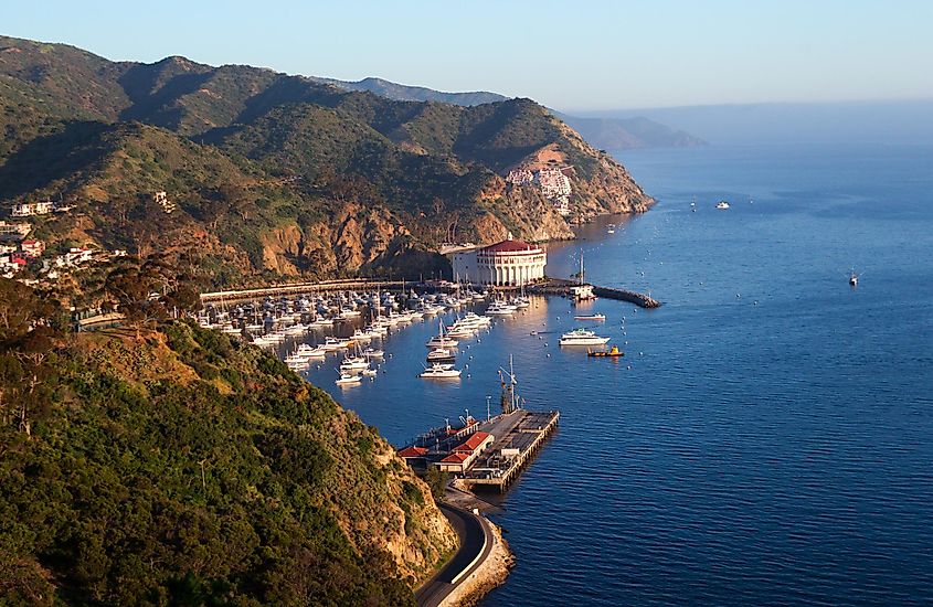 An aerial view of Catalina Island in California, featuring the Pacific ocean, mountains, and boats.
