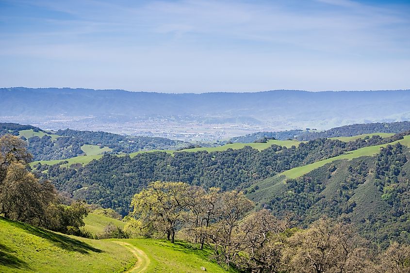 Verdant hills and valleys in Henry W. Coe State Park.