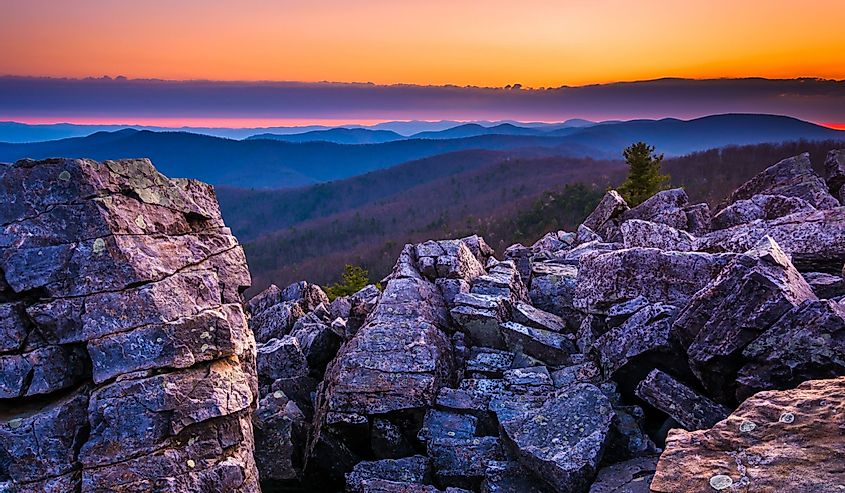 Sunrise over the Blue Ridge Mountains from Blackrock Summit, Shenandoah National Park, Virginia
