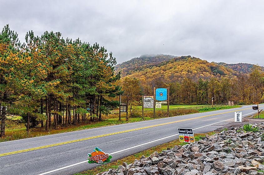 Orchard farm produce near Shenandoah National Park, Sperryville. 