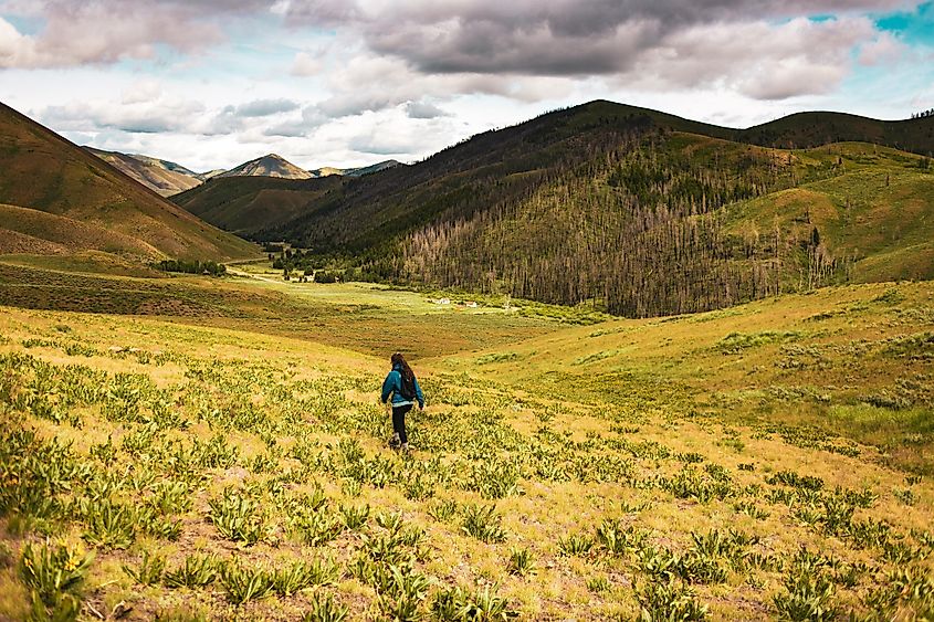 Hailey, Idaho: A scenic hike with views of the Sawtooth Mountains, Baldy, and Stanley, Idaho.