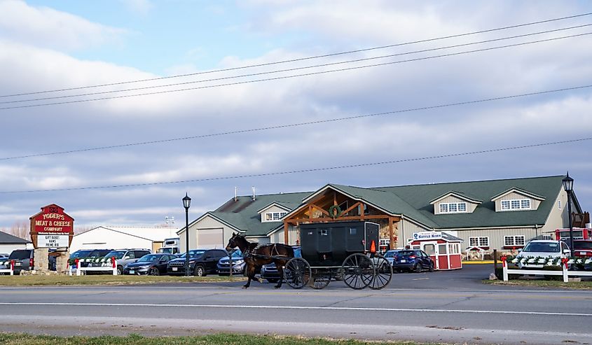 Horse and carriage outside of Yoder's Meat and Cheese in Shipshewana Indiana.