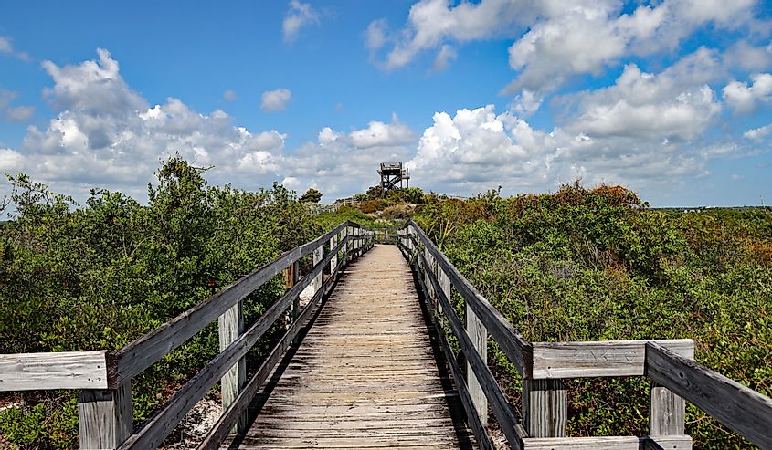 The boardwalk in Jonathon Dickenson State Park to the elevated Hobe Mountain Tower