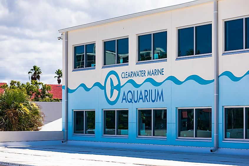 Clearwater Marine Aquarium in Clearwater, Florida. Florida's Marine Life Rescue Center, via alisafarov / Shutterstock.com