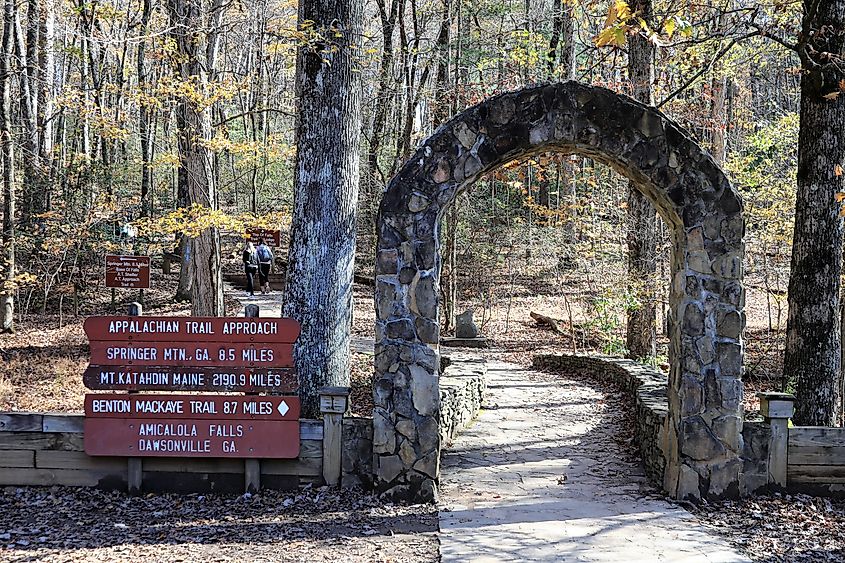 The approach to Springer Mountain.
