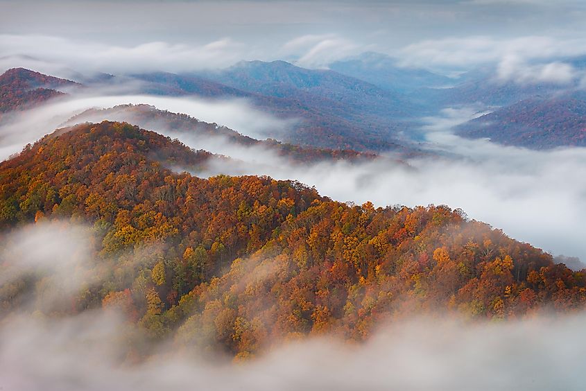 A foggy autumn morning at Cumberland Gap National Park