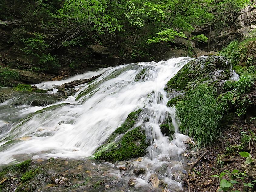 Dunnings Springs in Decorah, Iowa