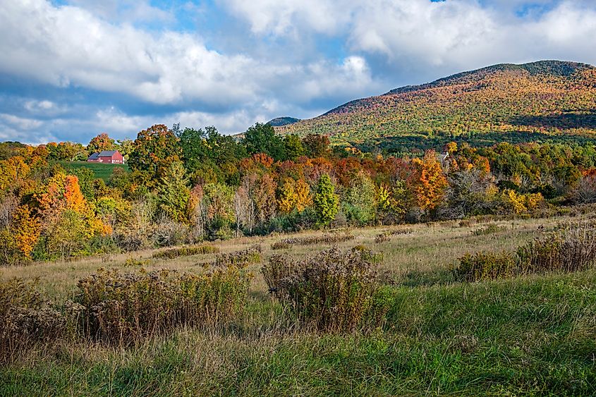 Countryside around Manchester, Vermont.