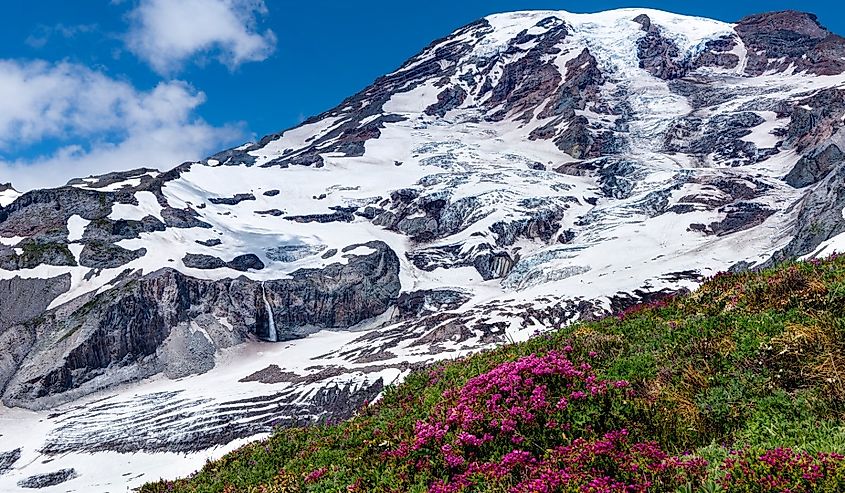 Skyline Trail, Mount Rainier, Mount Rainier National Park, Washington State
