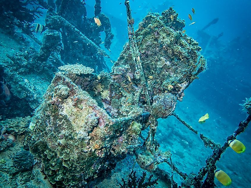 A treasure chest covered in coral resting on a sunken ship.