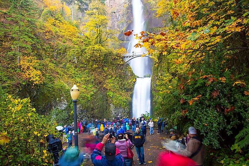 Multnomah Falls