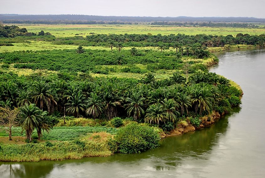 The Kasai River supports agriculture along its fertile banks.