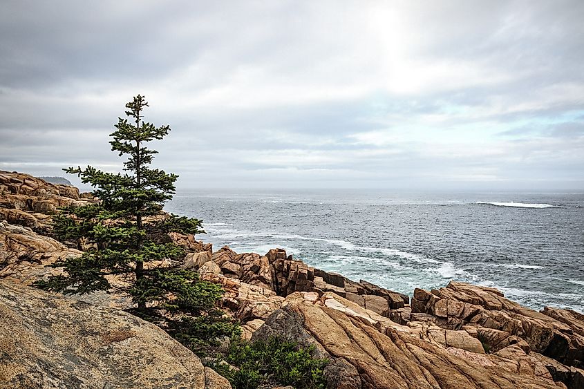 The rocky coastline at Acadia National Park in Hancock County, Maine.