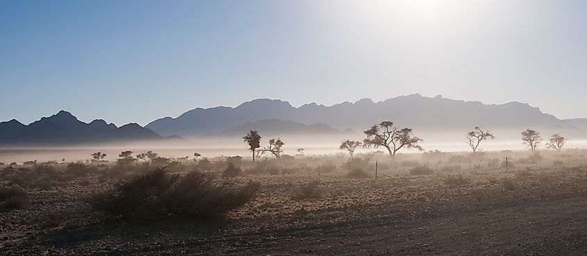 Namib desert in the morning fog