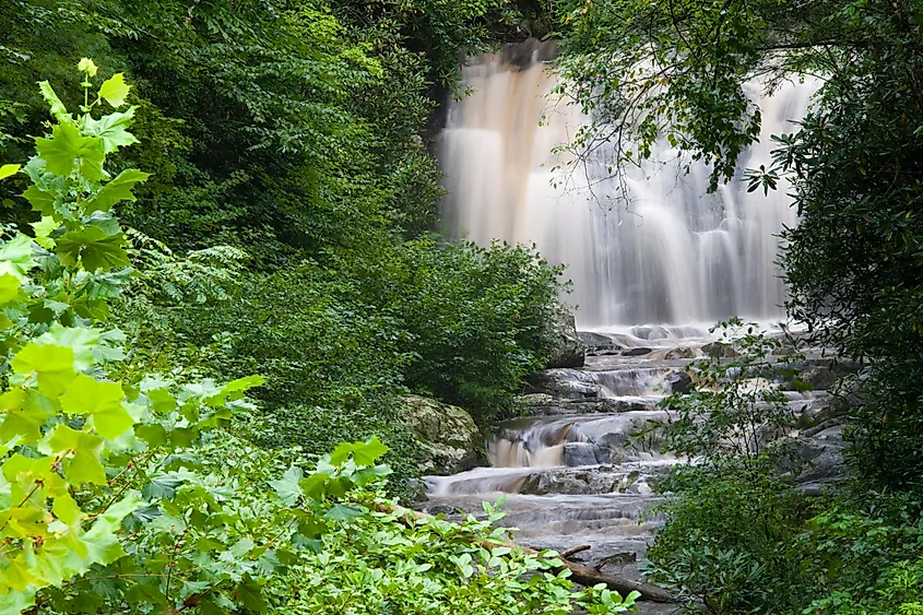Creek and Waterfall in the Great Smoky Mountain National Park. 
