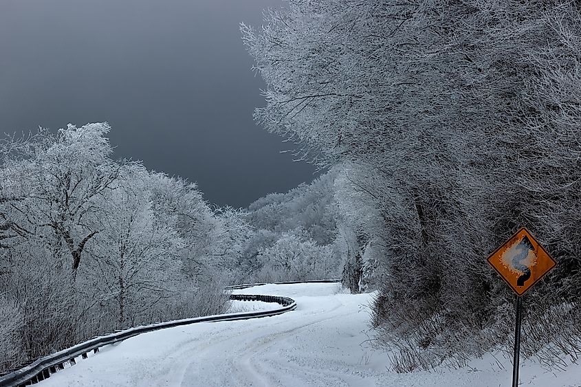 Shot through the windshield of the curvy snow covered road leading down off of Roan Mountain in the Blue Ridge Mountains in Tennessee.