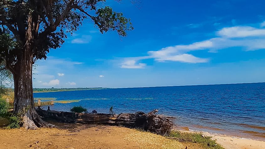 On the shores of Lake Mweru. Osei Mupeta, CC BY-SA 4.0 <https://creativecommons.org/licenses/by-sa/4.0>, via Wikimedia Commons