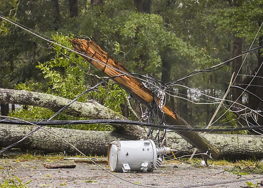 Gale-force winds from Hurricane Irma topple trees and power lines, forcing road closures in Macon, Georgia.