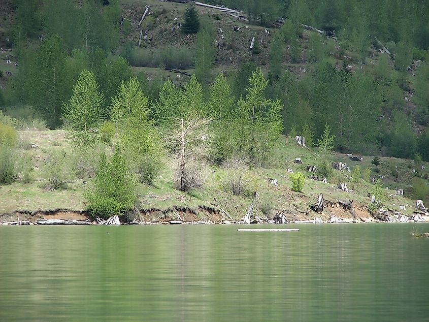 Coldwater Lake (Washington)