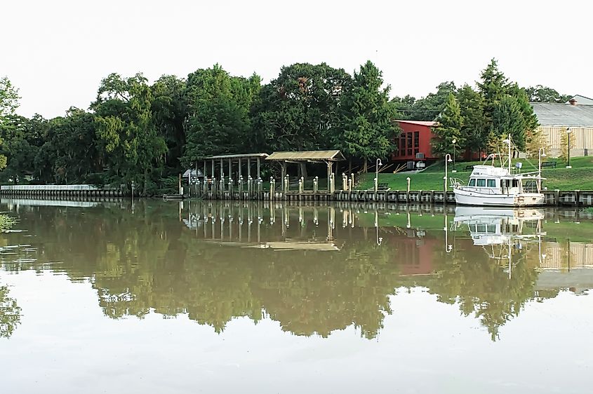 The bayou in New Iberia, Louisiana