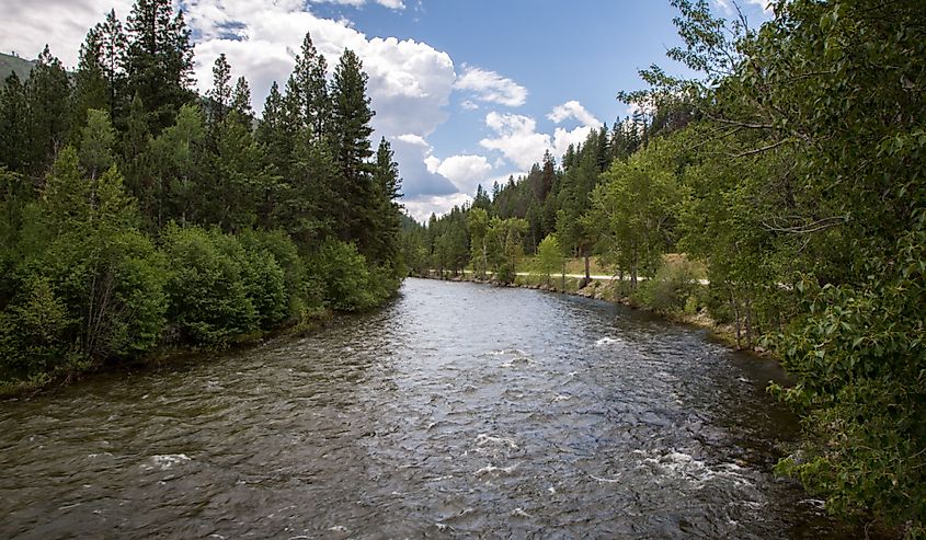 River in Hamilton Montana near Painted Rock Lake.