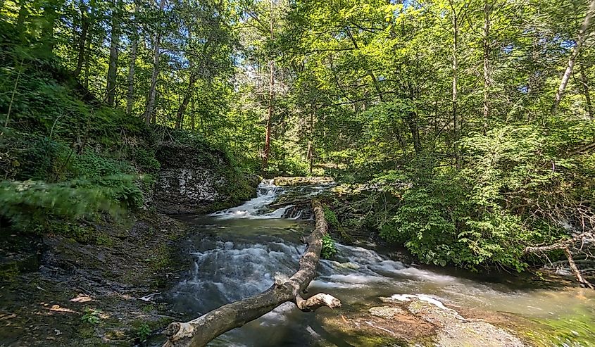 Scenic view of Marshall's Creek at Marshall's Falls Park in Smithfield Township, Pennsylvania