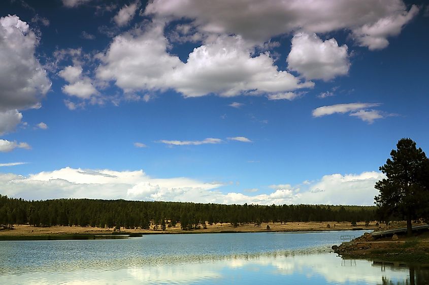 Luna Lake in the White Mountains of Arizona.