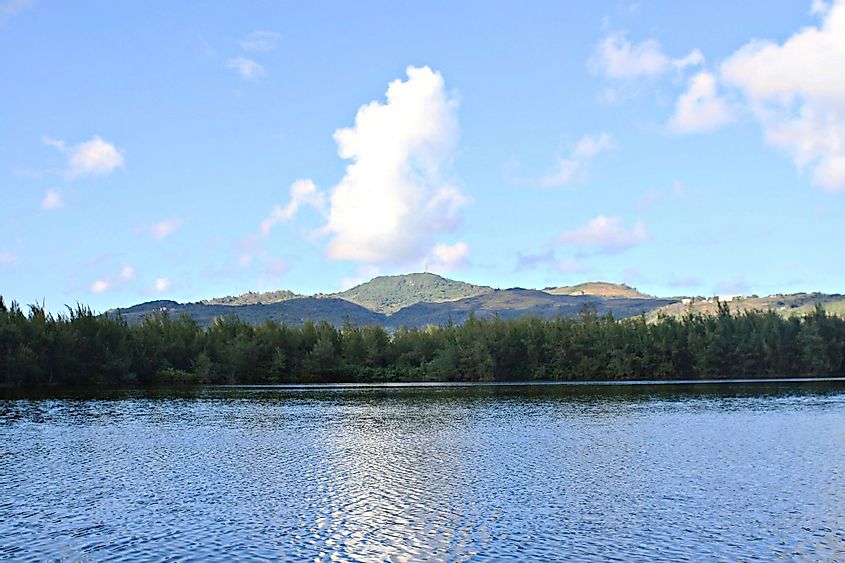 A view of Susupe Lake in Susupe village, Saipan facing Mount Tapochau