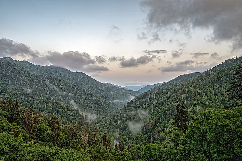 Great Smoky Mountains in North Carolina.