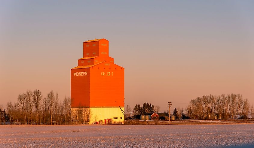 Pioneer grain elevator located at Olds, Alberta