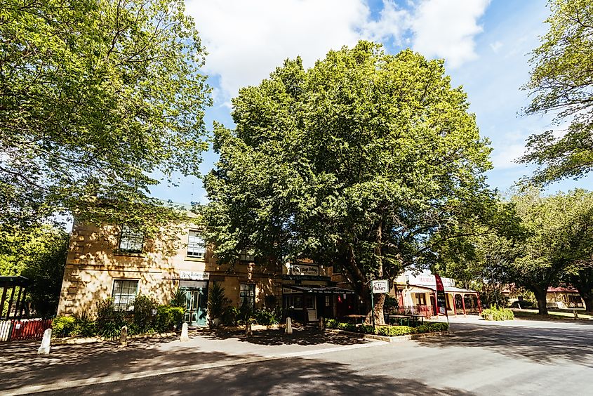 The historic architecture and bakery along Church St in the rural town of Ross on a warm summer's day in Tasmania, Australia. Via Shutterstock / FiledIMAGE.