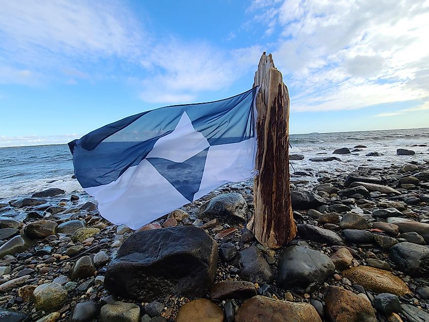 The True South flag flies from a piece of driftwood on the shore of the ocean.