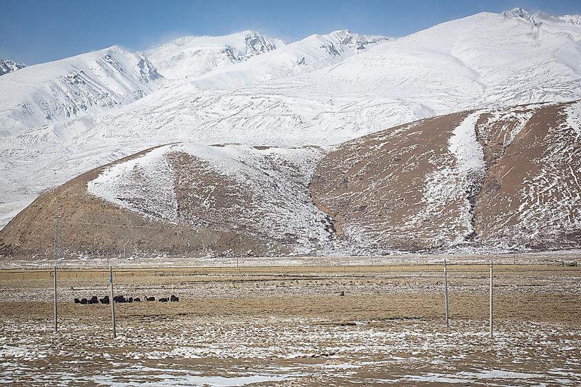  The winter landscape in the Tibetan Plateau.