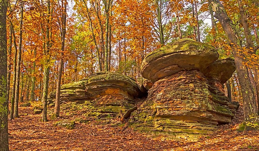 Hidden Mushroom Rocks in the Fall Forest in Garden of the Gods in Shawnee National Forest in Southern Illinois