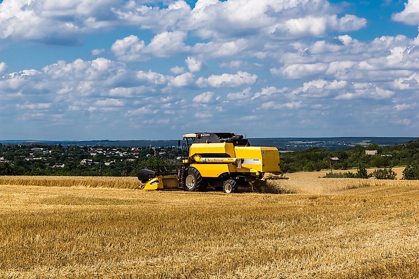 A harvester works wheat in a field in Kharkiv Oblast, Ukraine.