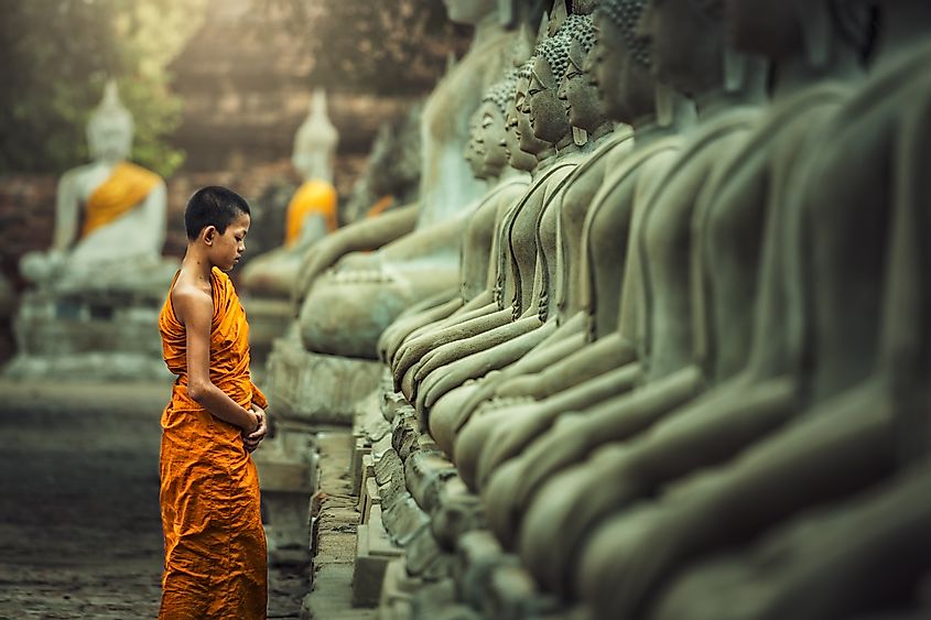 A young Buddhist monk