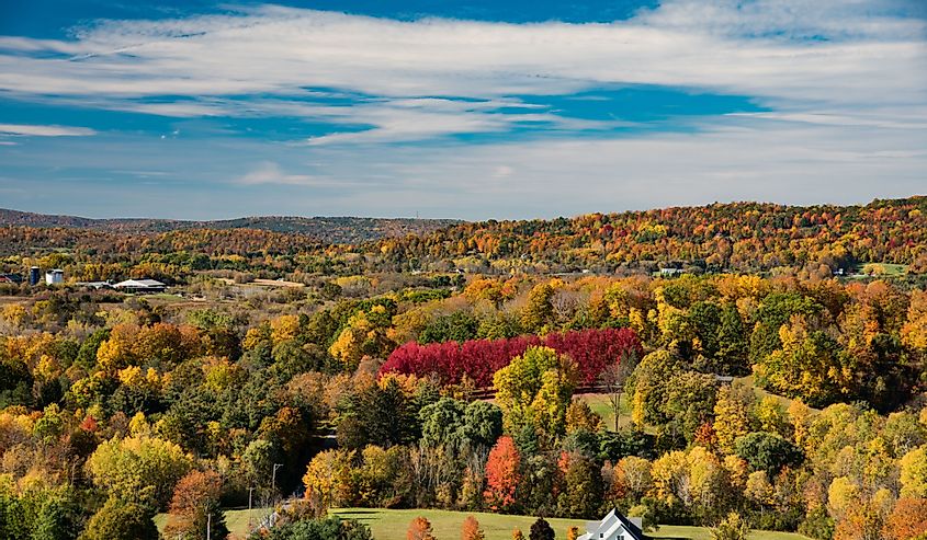 Landscape of the mountains of Bennington during the fall foliage season.