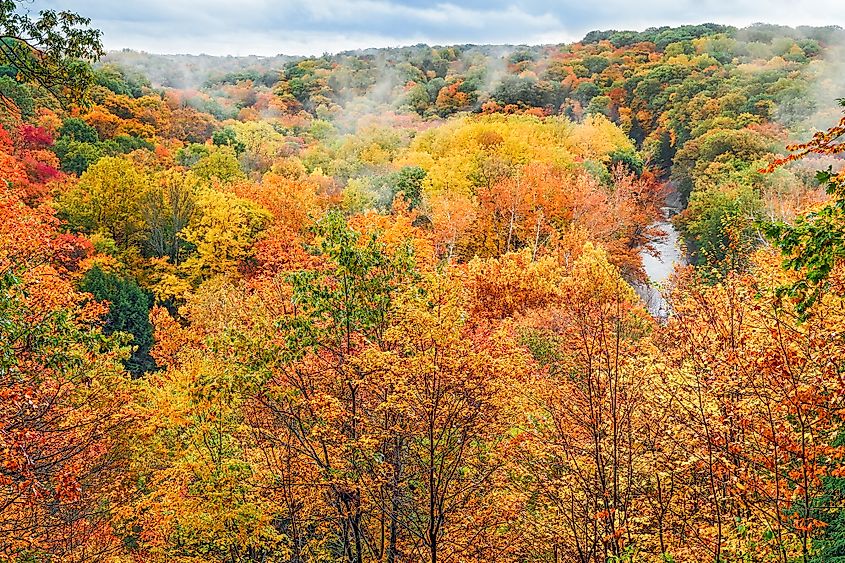 Vibrant fall colors in Cuyahoga Valley National Park.