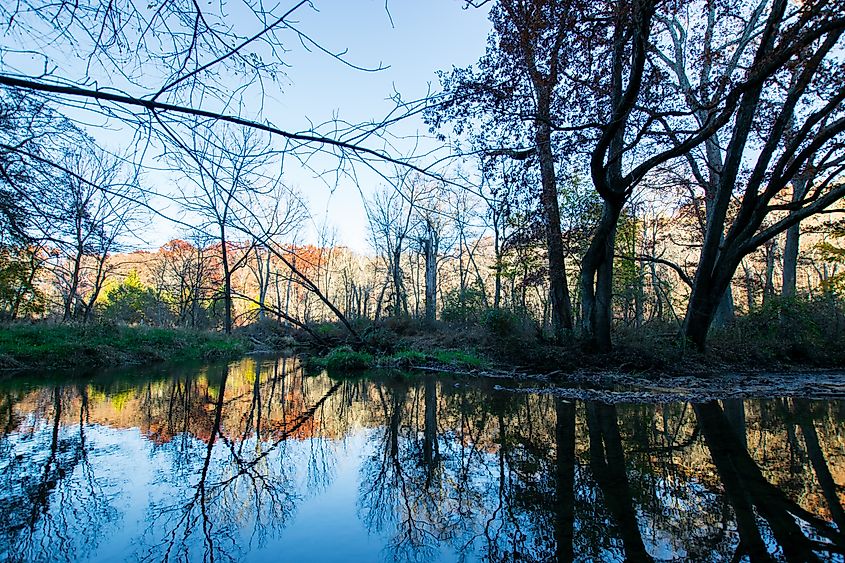 The BeeTree Preserve in Parkton, Maryland.
