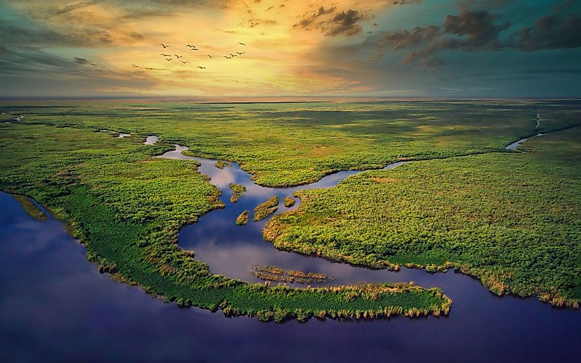 Aerial view of the Florida Everglades 