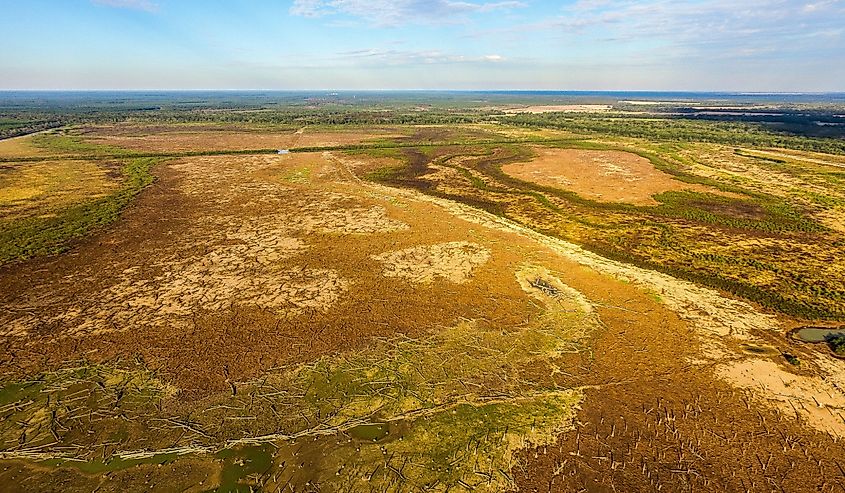 Aerial view of Bussey Brake Reservoir in Bastrop, Louisiana.