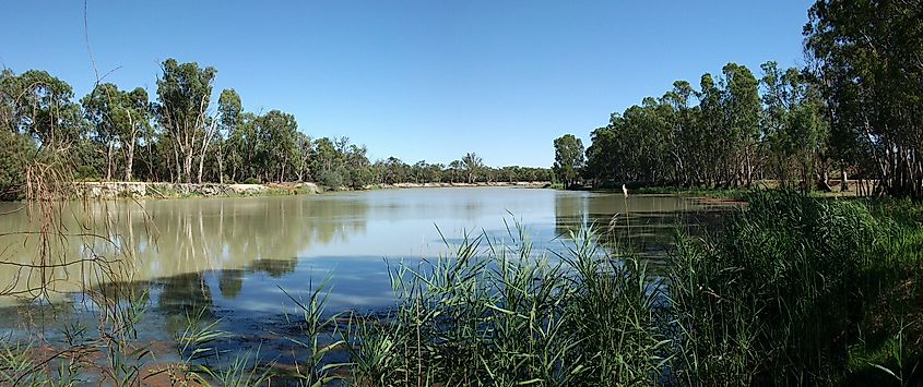 The Murray River along Loxton, South Australia.