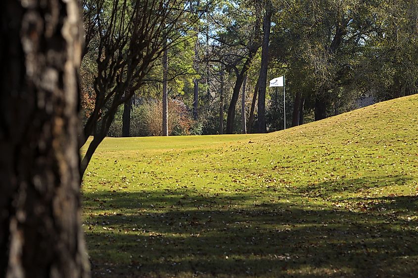 The 5th Hole of the Tournament Golf Course in The Woodlands, Texas. 
