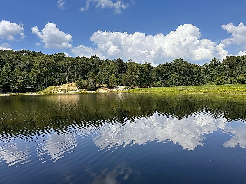 Jefferson Memorial Forest, KY.