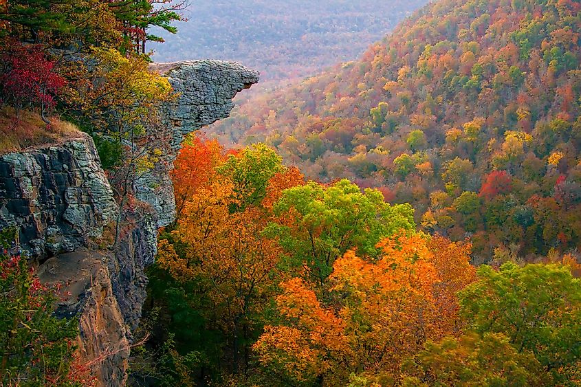 The stunning view along the Whitaker Point trail, Arkansas.